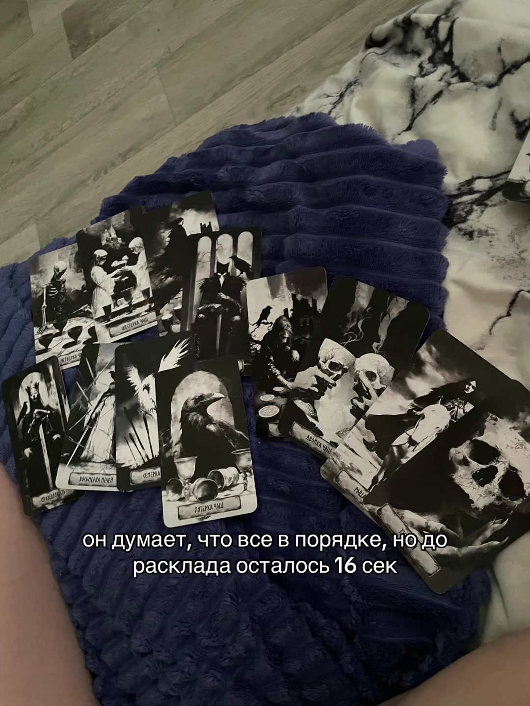 @целую, Леся