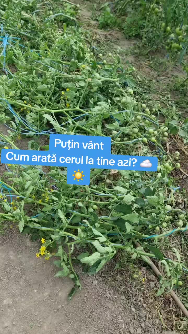 @🍎Din natură & Din tradiție