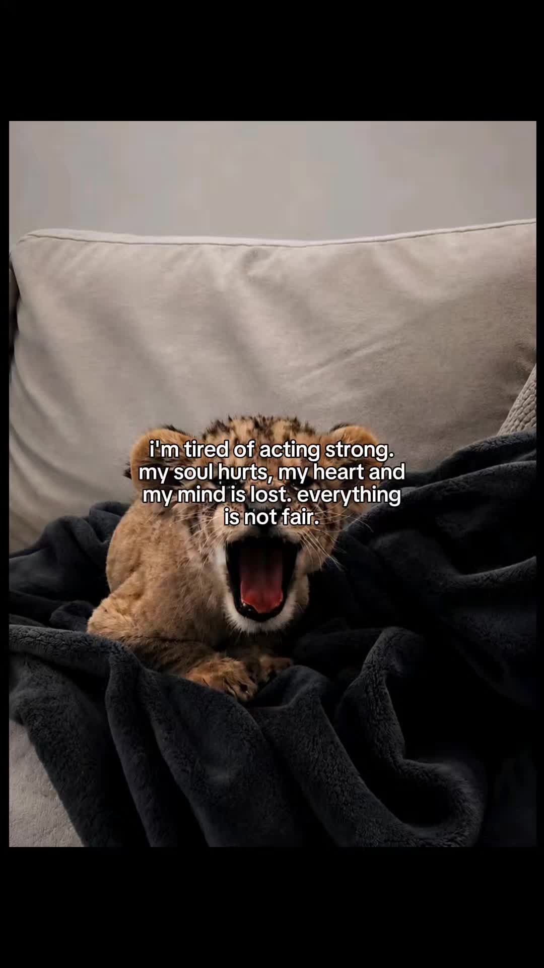 @idk what to put here