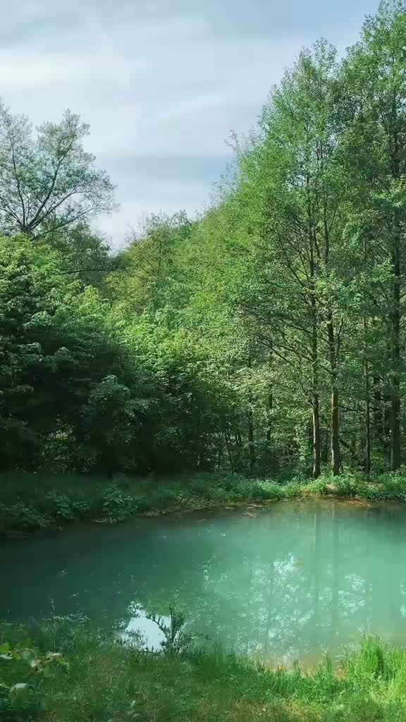 @Michal Botansky