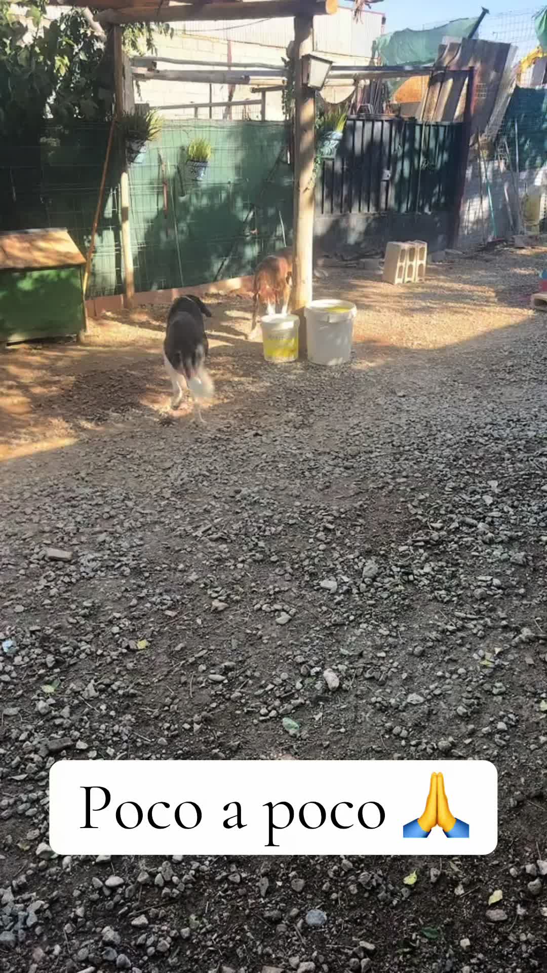 @refugiogranada39