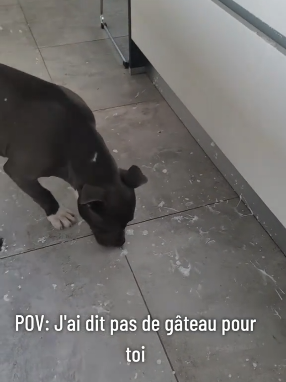 @Asko amstaff