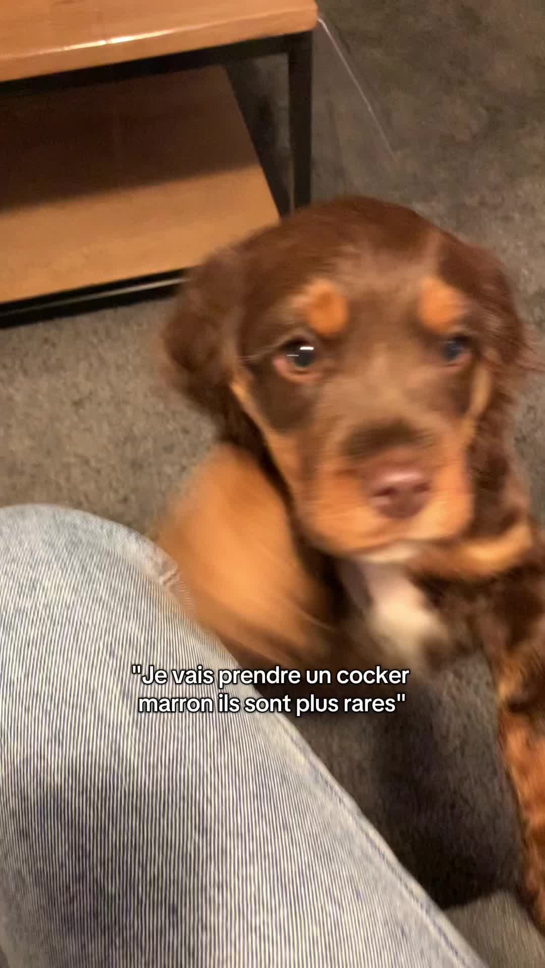 @mel.ctrt