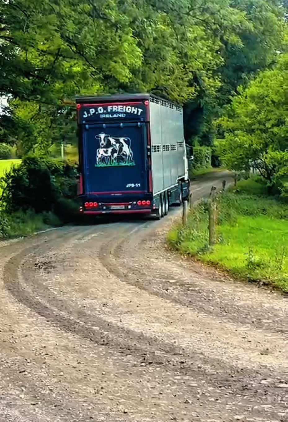 @cows.ie
