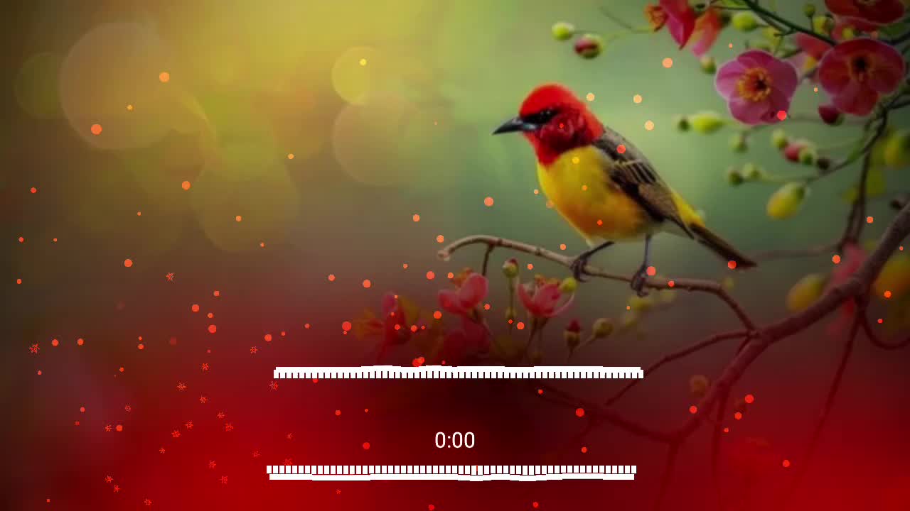 @ammusic.official