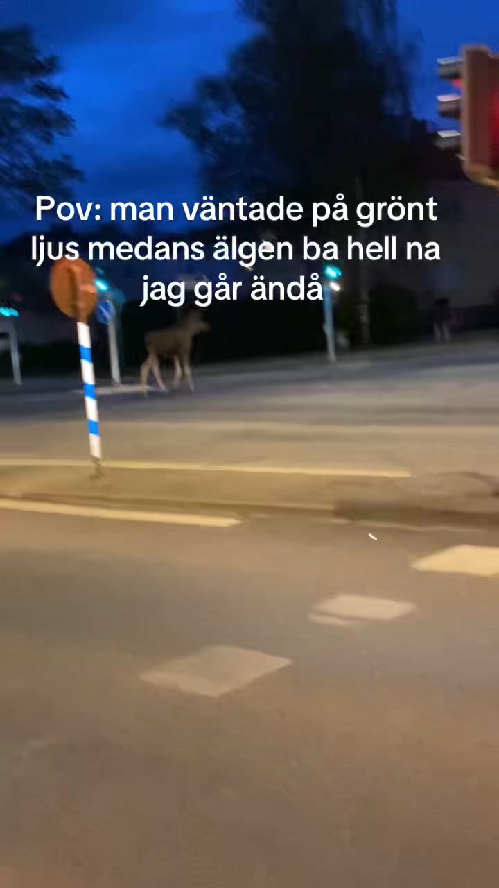 @SundsvallsSjukaste