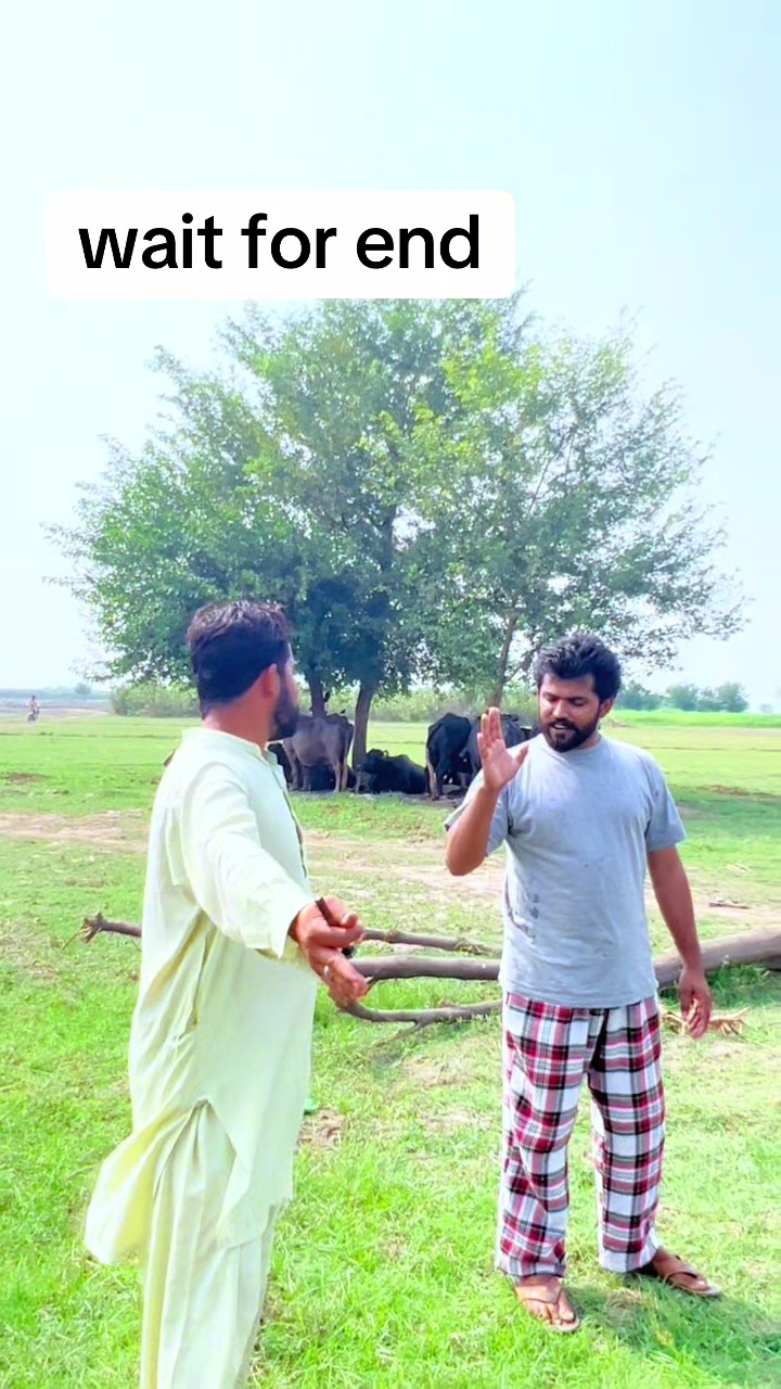 @پینڈو بوائز 378