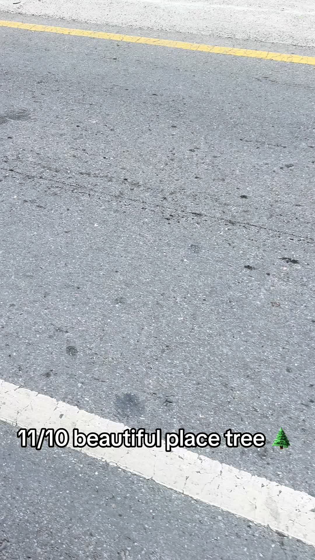 @MR