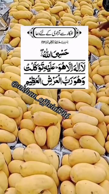 @Sister N Khan♥️