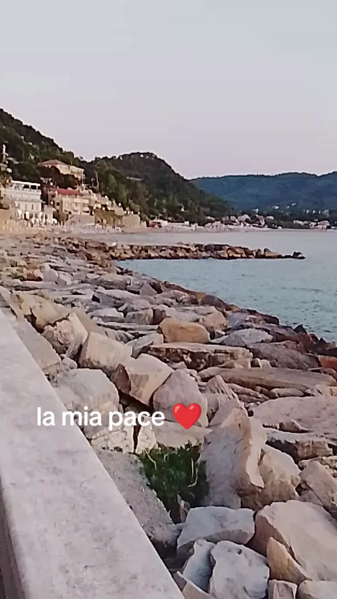 @raffaelladamiani20