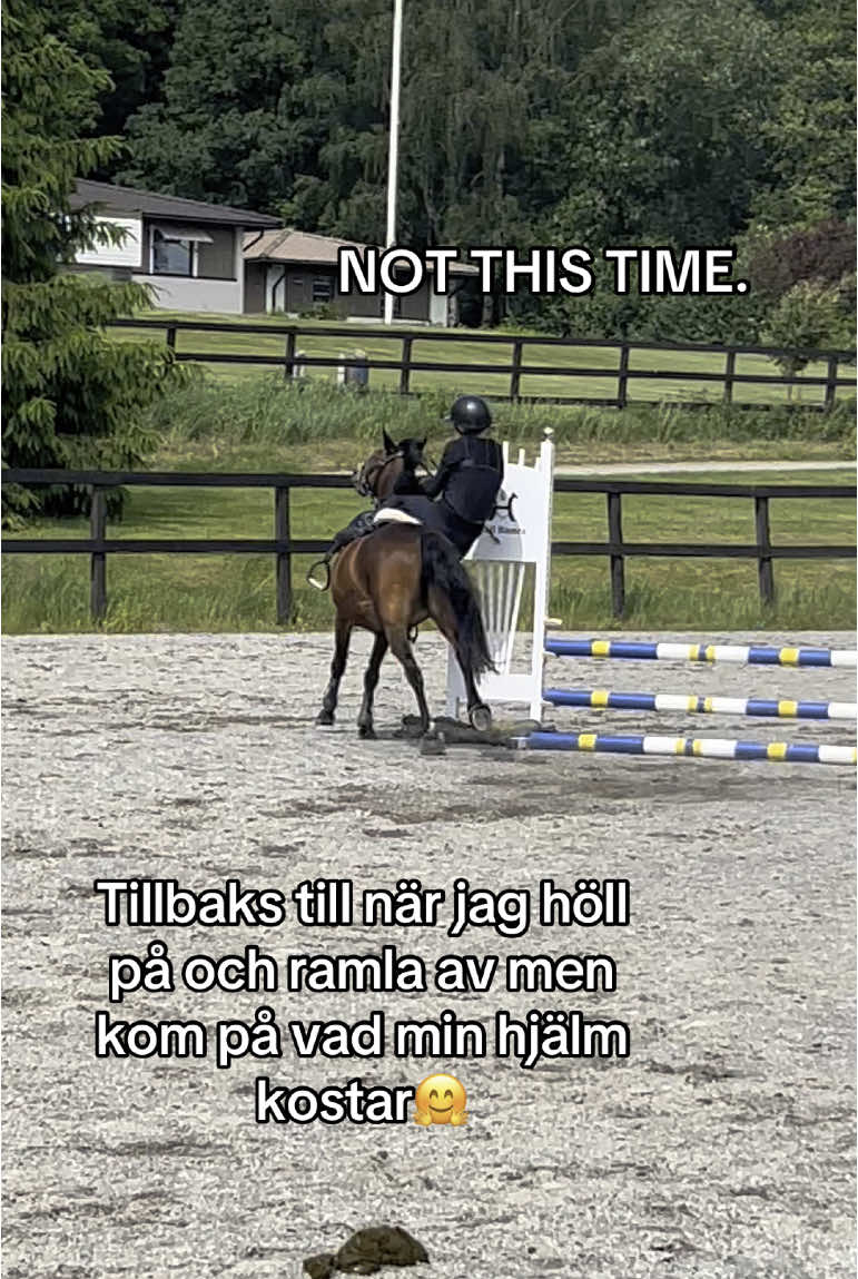 @Lisa & Sören