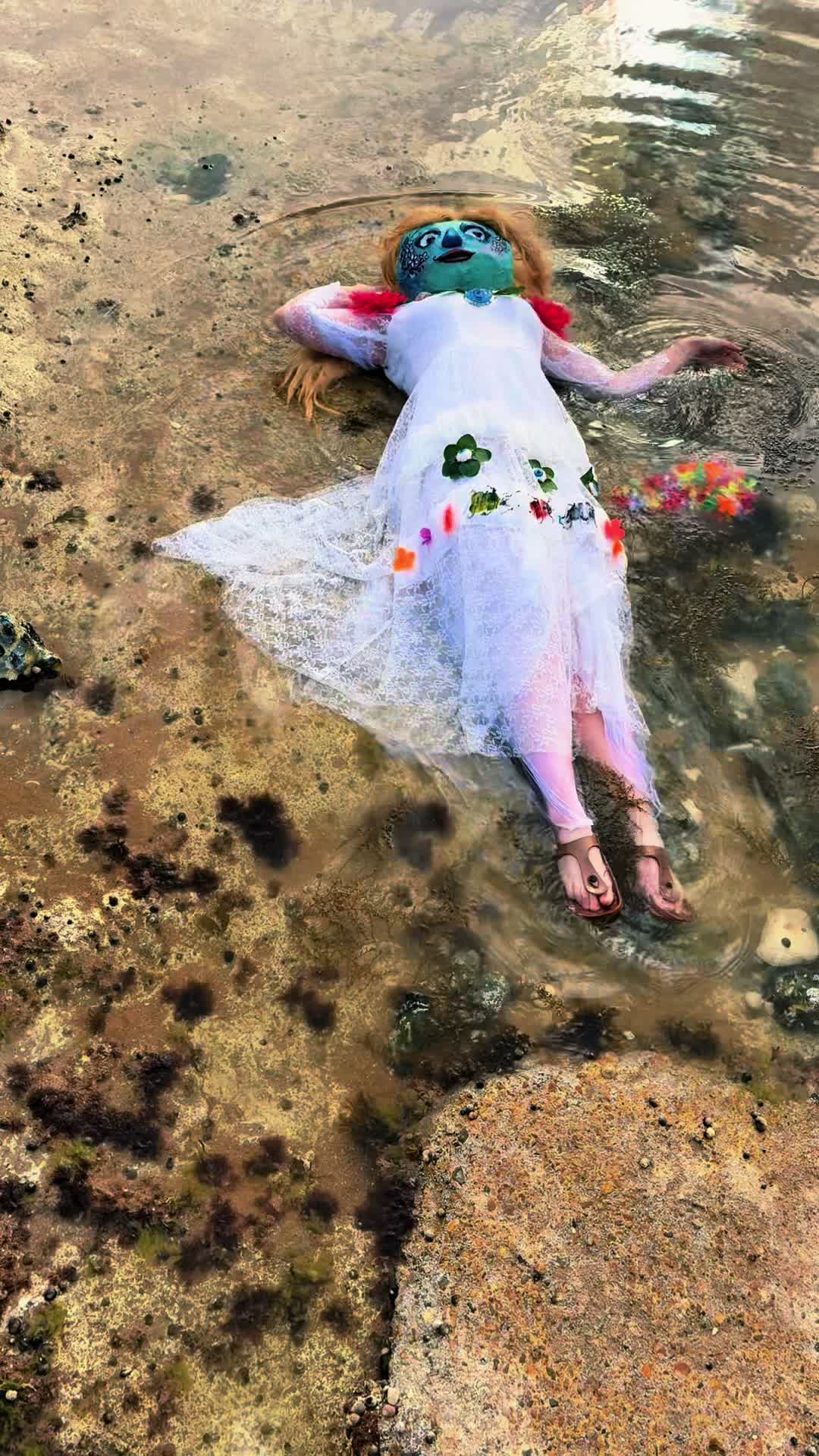 @harmonybo_music