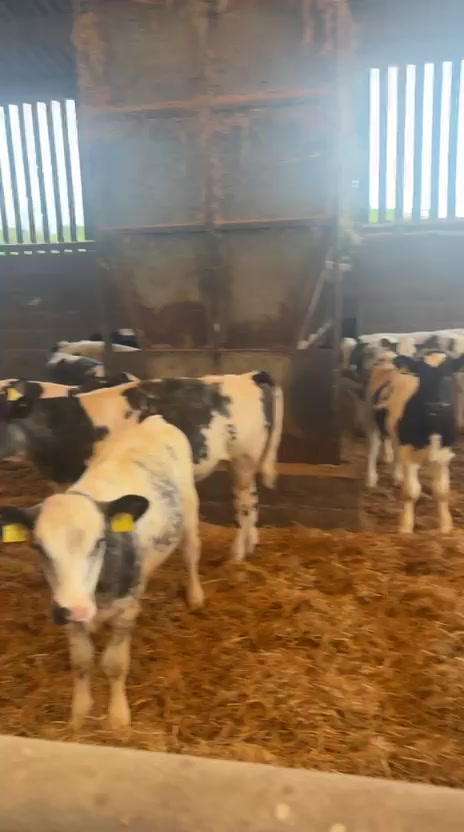 @Life On The Farm - Cheshire