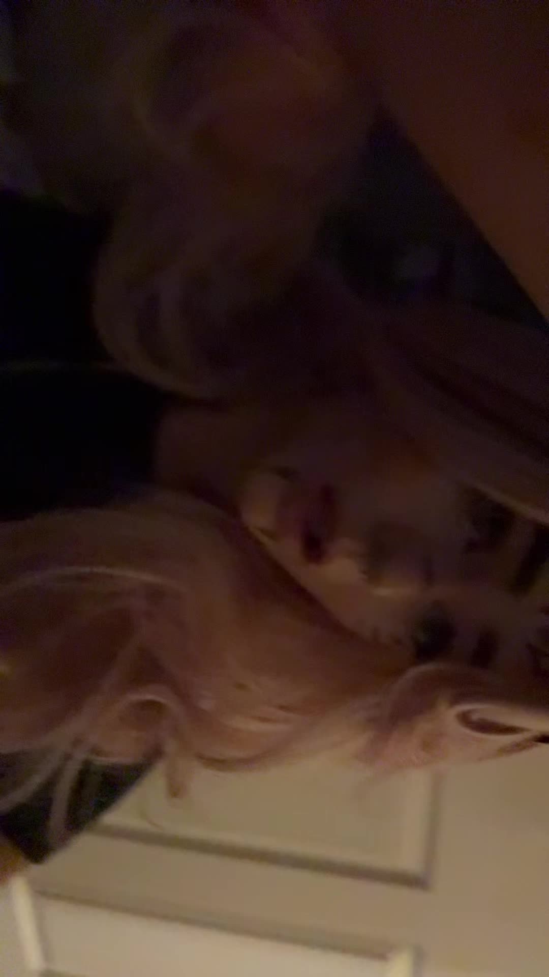 @๐๐๐
๐ฝ๐