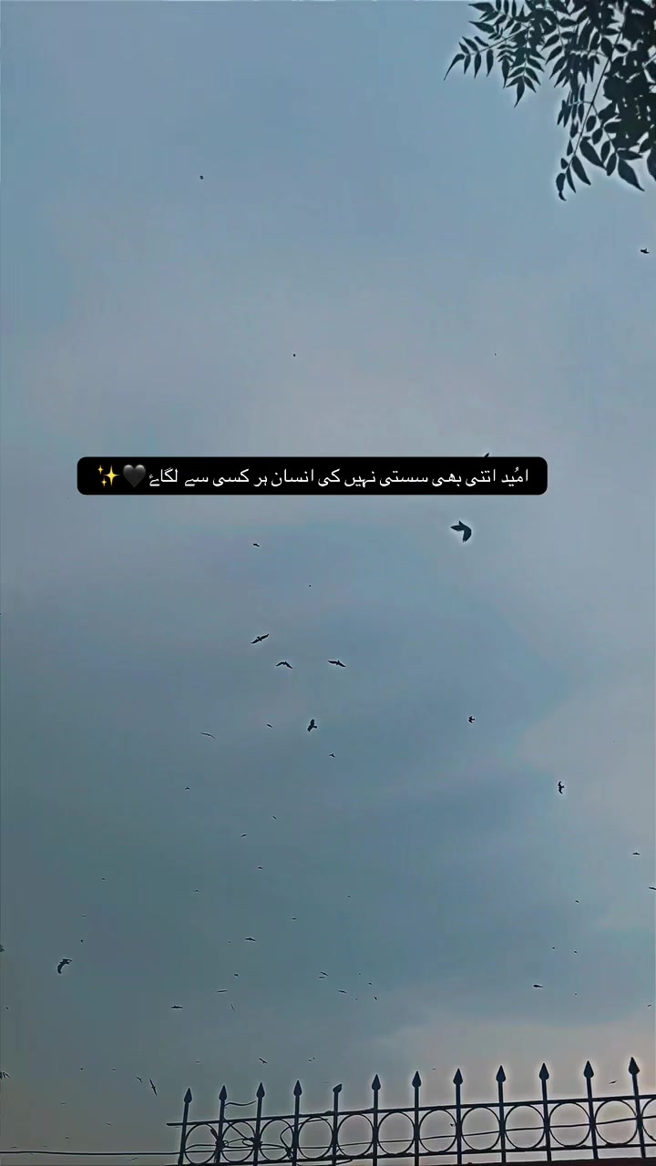 @✰ᵃ𝘨𝓻ค𝓻ⅈⲁ𝔫✰