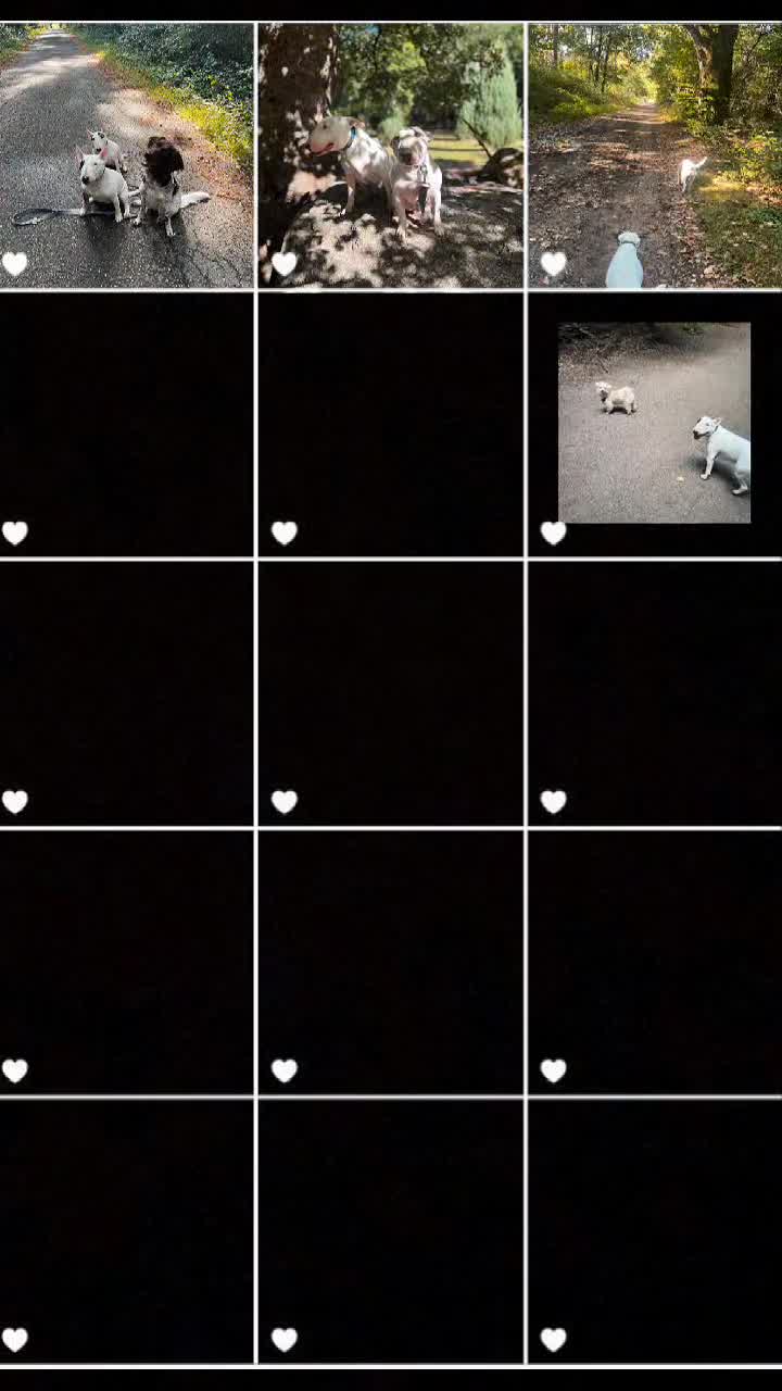 @𝓒𝓾𝓻𝓿𝔂𝓓𝓮𝓿𝓲𝓵🖤
