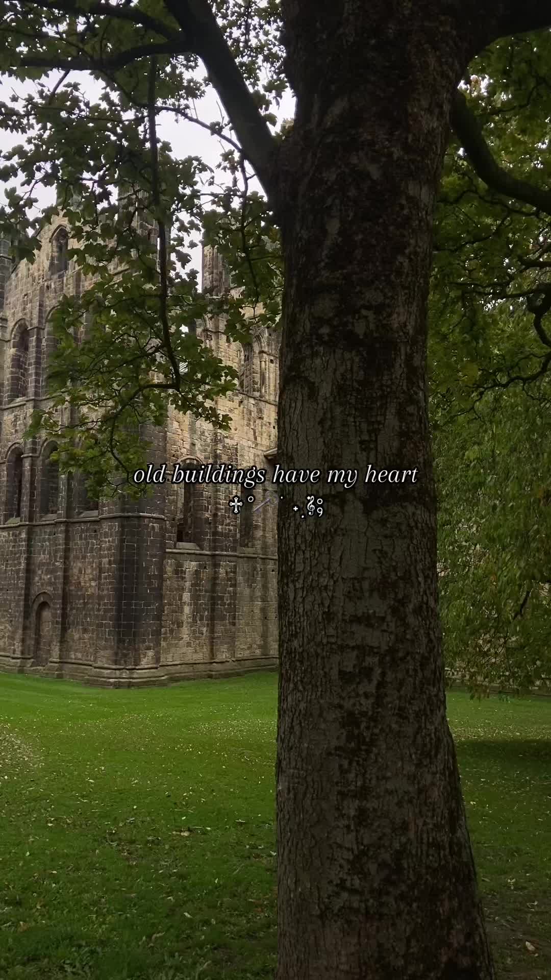 @Maddie‧₊˚𓅓‧₊˚
