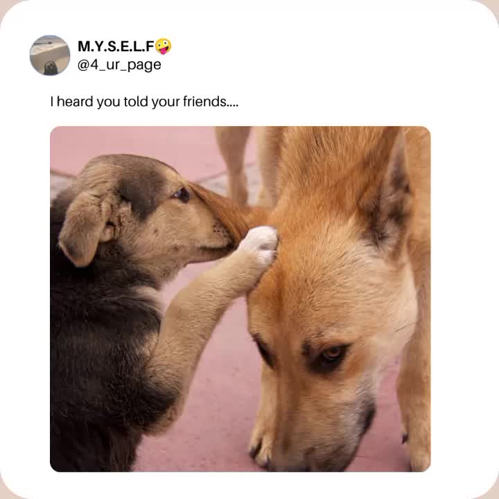 @M.Y.S.E.L.F🤪