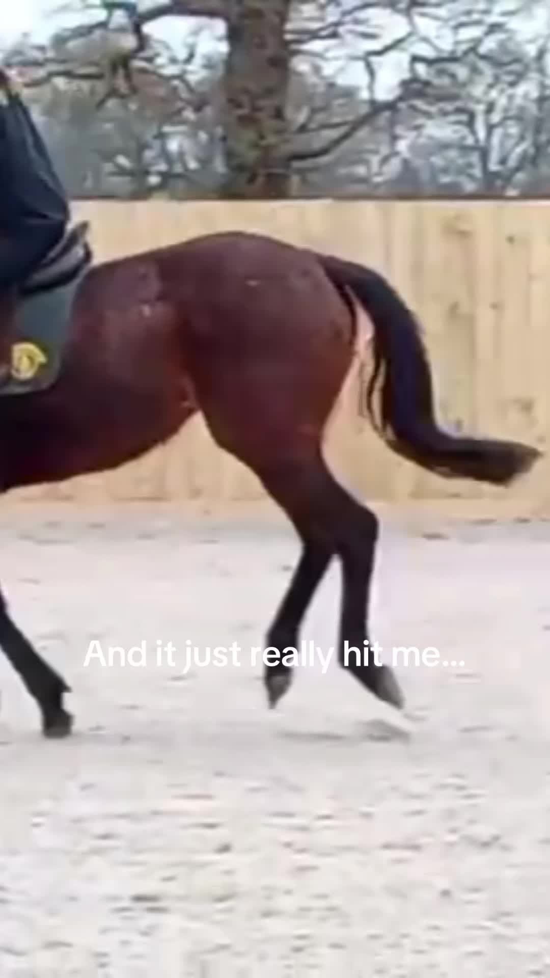 @Nikki 🐾🖤