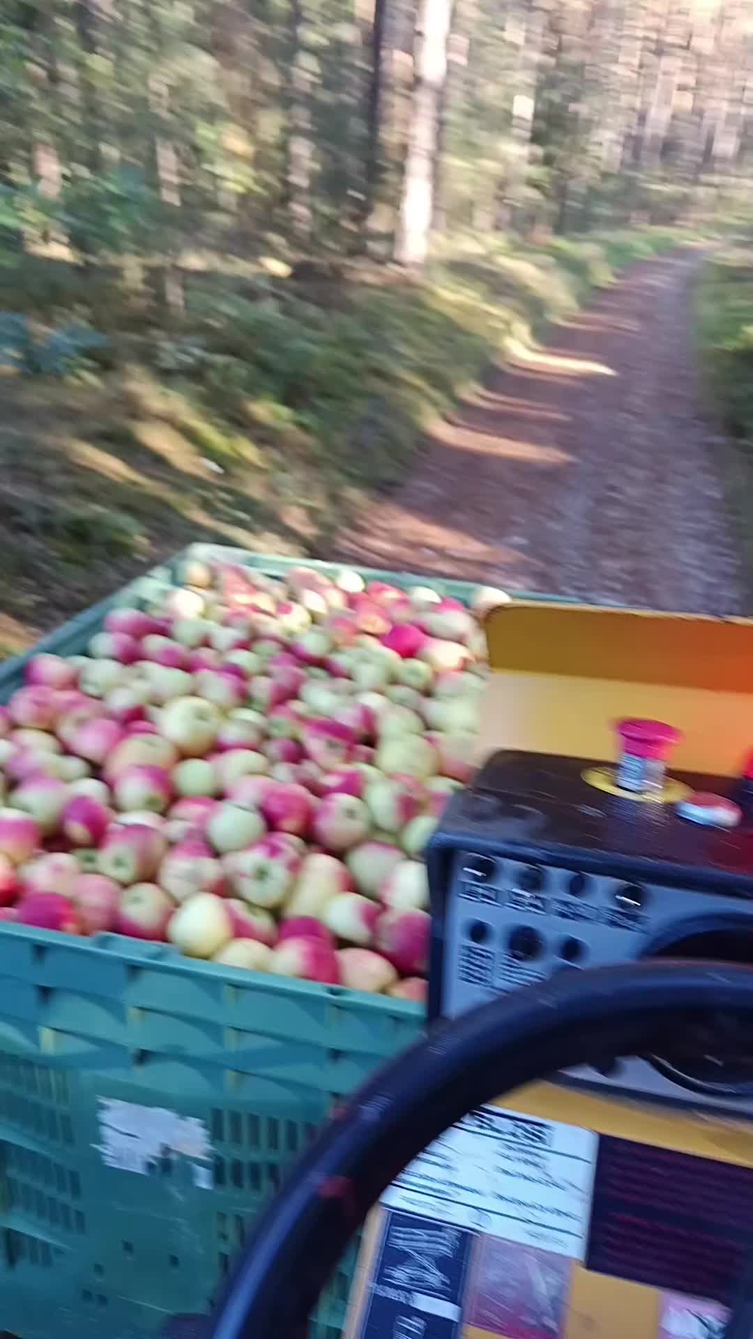 @Ciotârcă Ovidiu!