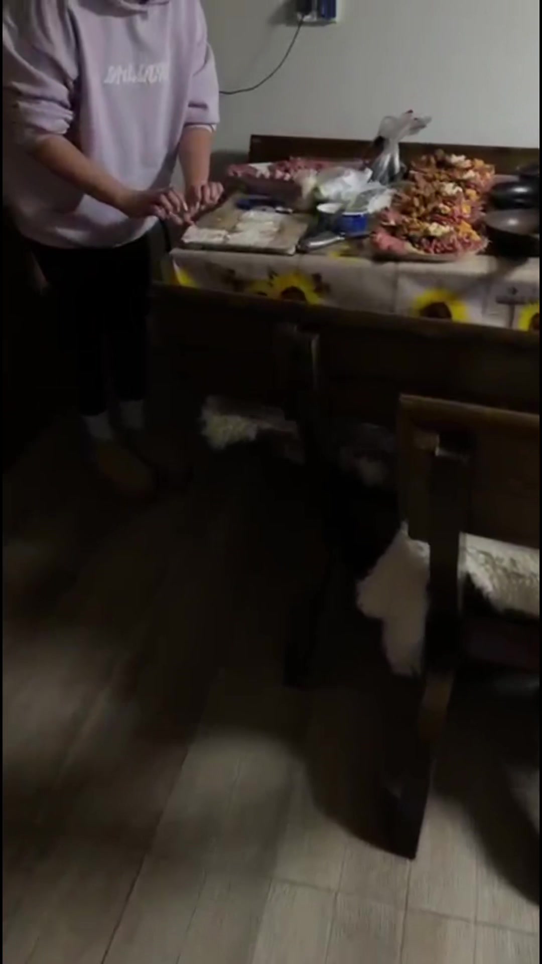 @Veronica Elena Cunța