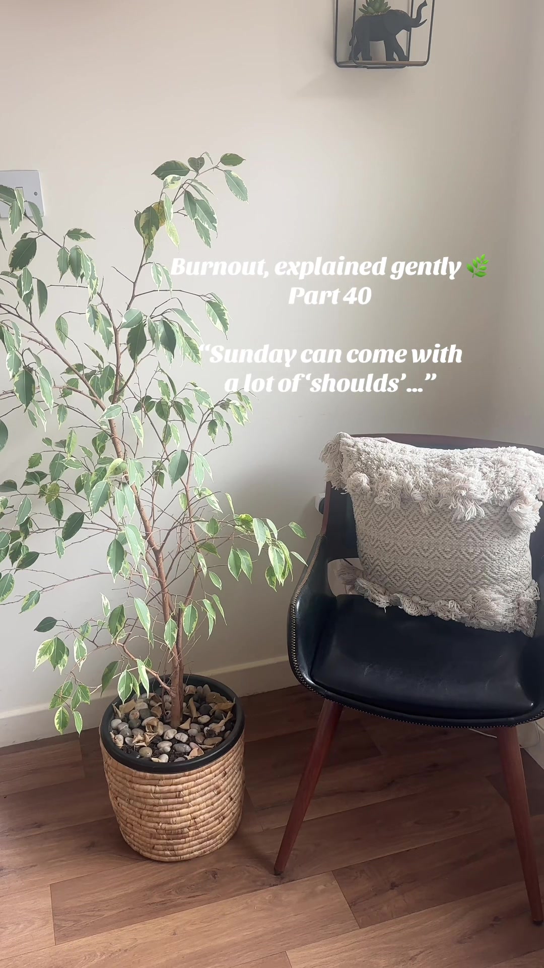 @thequietyou