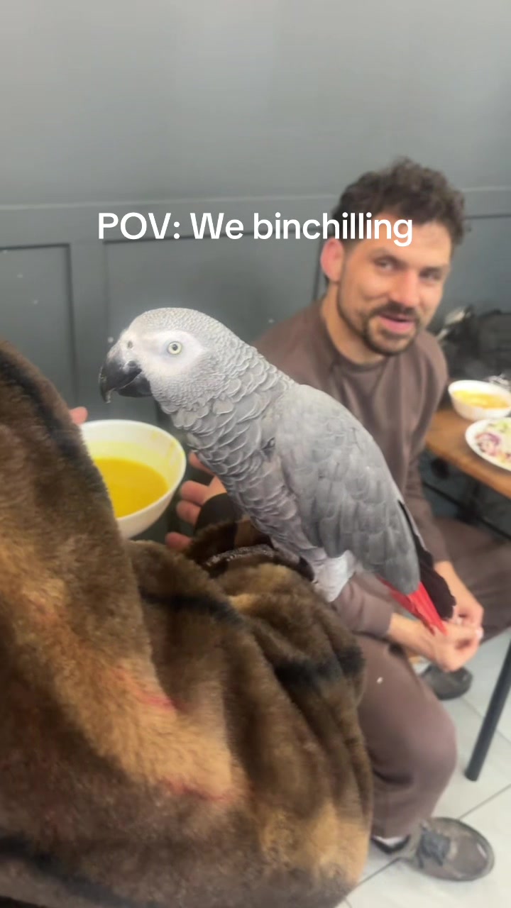 @Mr100x BILLY SAL