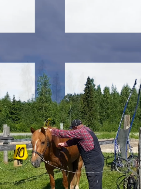 @Suomen Hippos ry