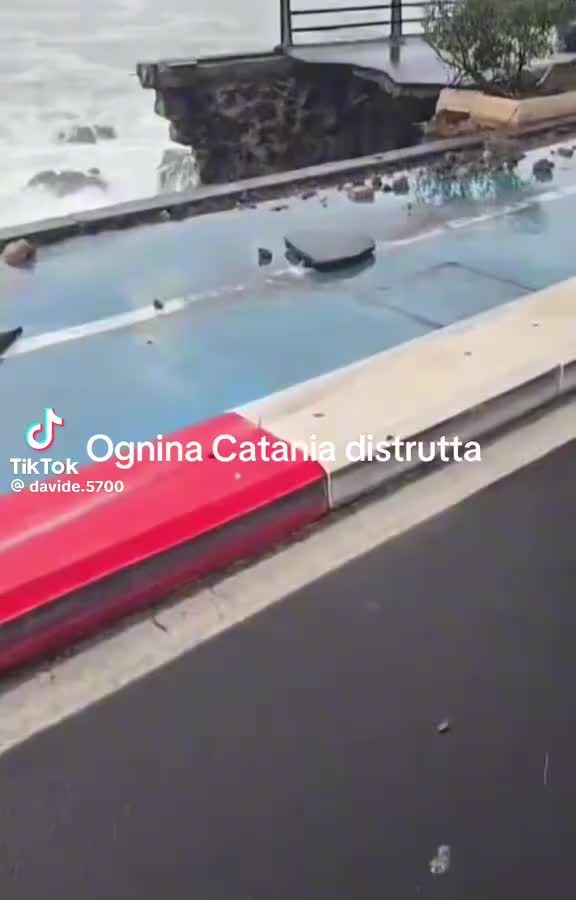 @Enzo Cali