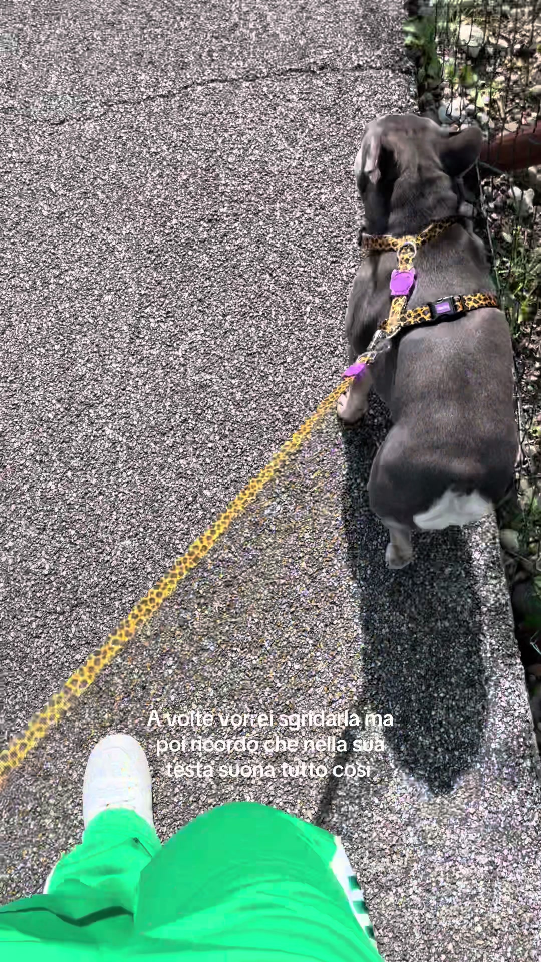 @vanessa.benedetti89