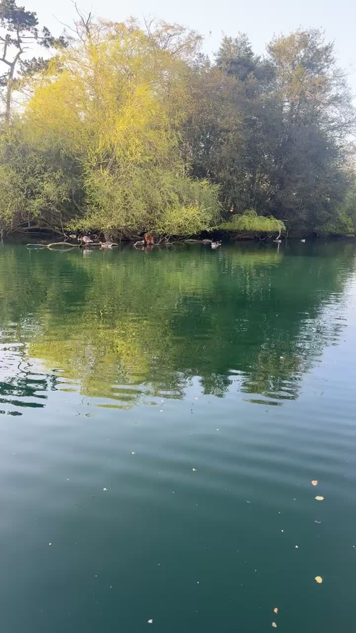 @M❤️N