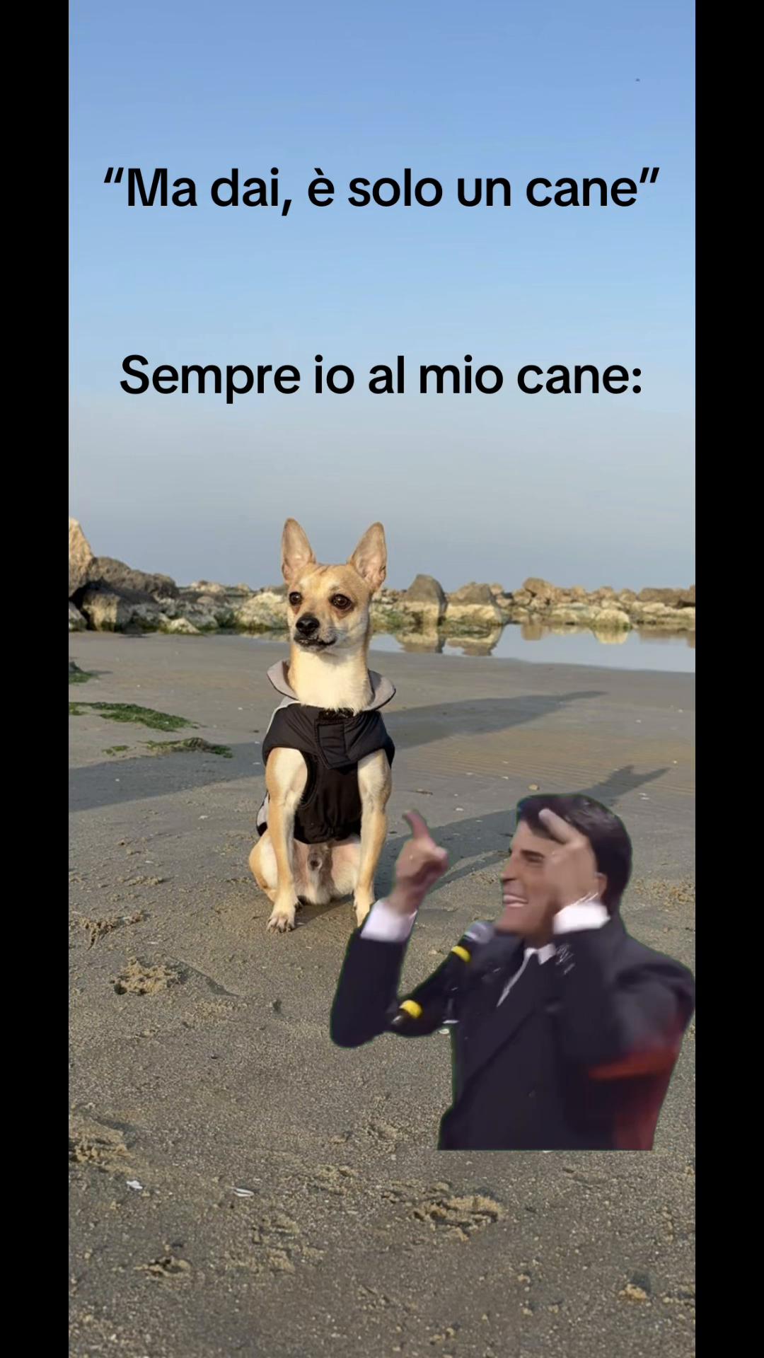 @Piccolo Theo👑