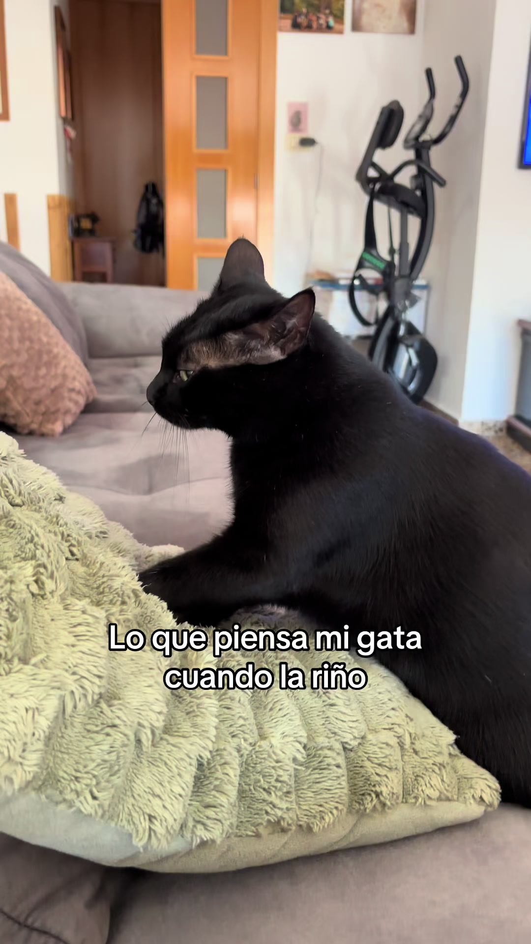 @BlackCatsMatter