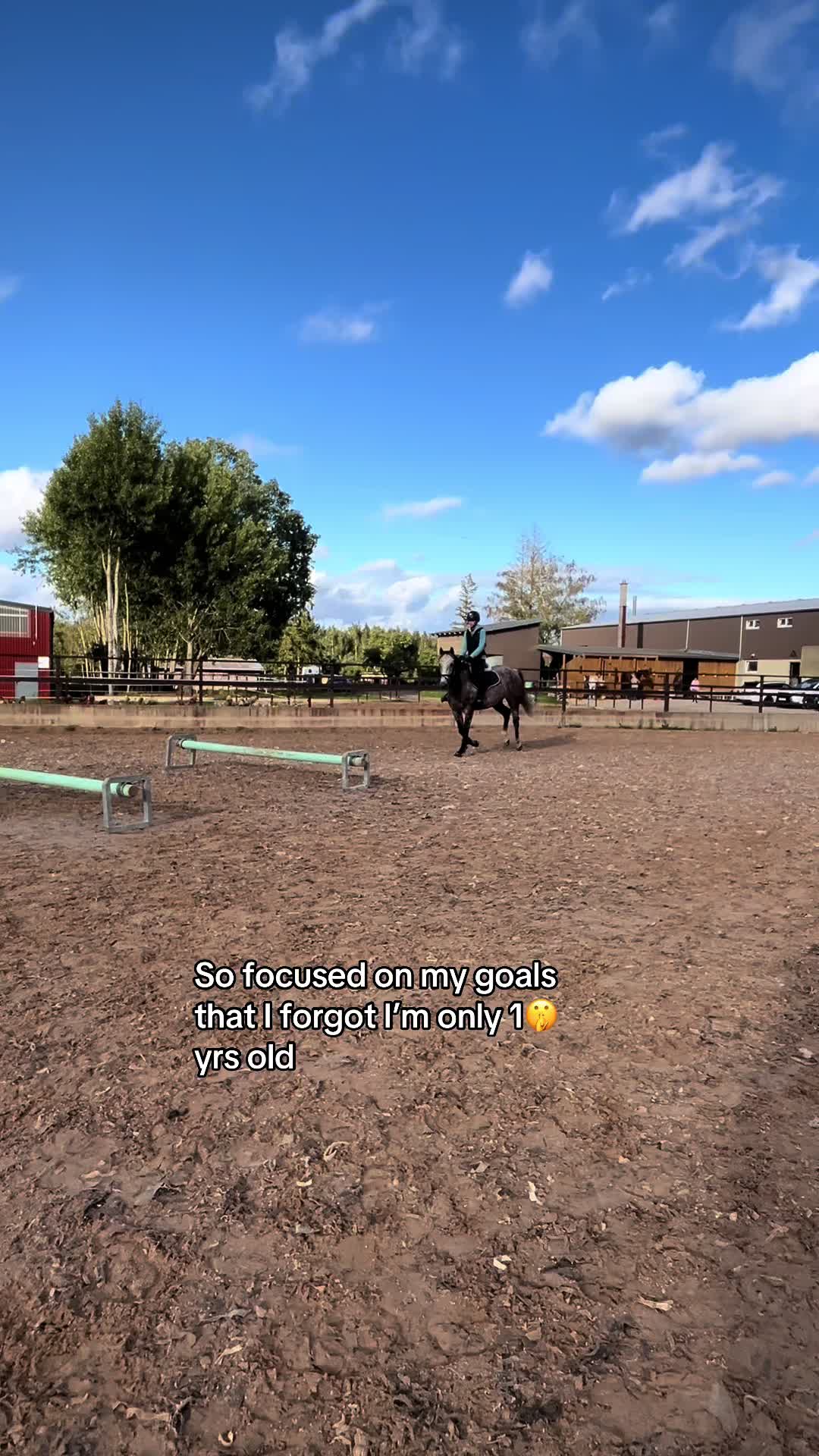 @🐴