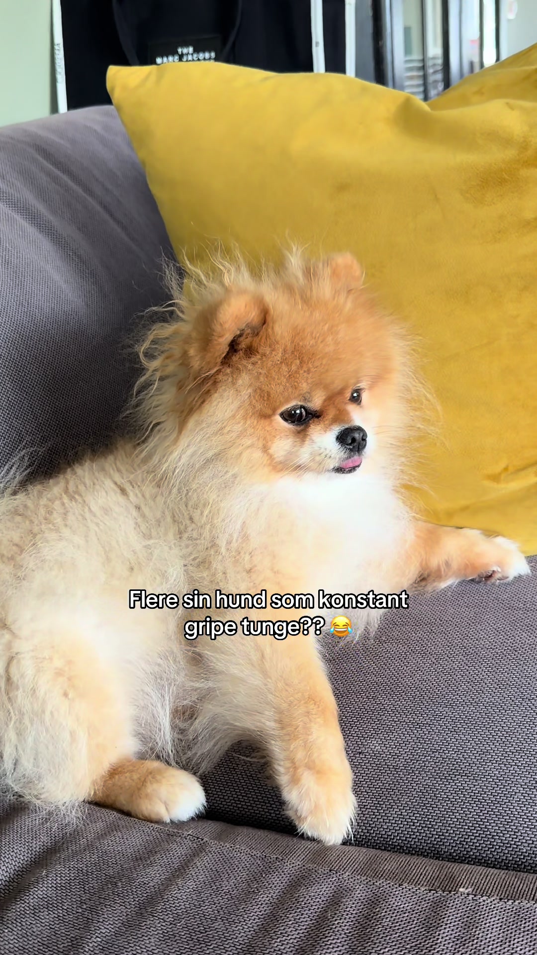 @malieriksen
