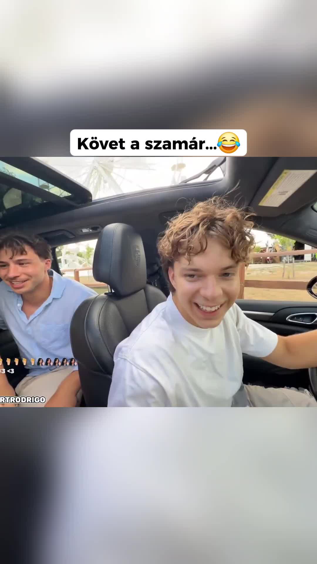 @77patrik