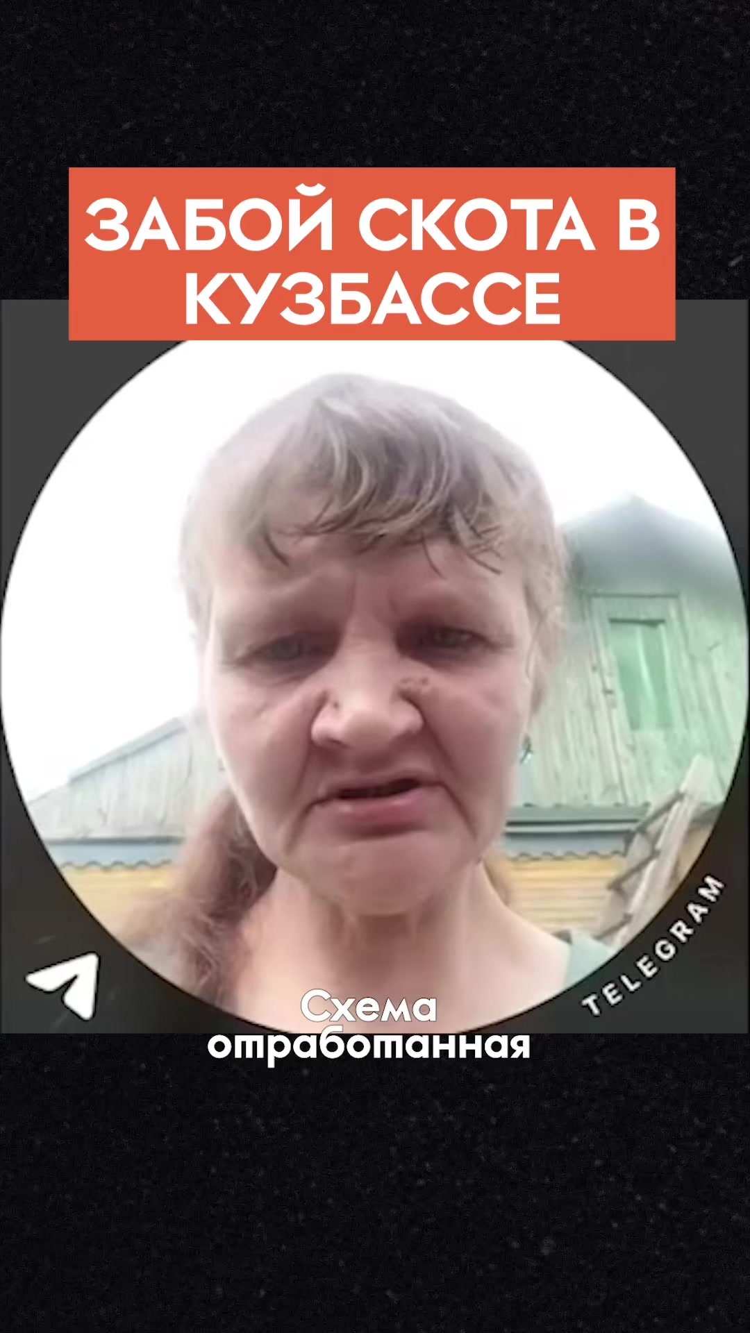 @Горизонтальная Россия@