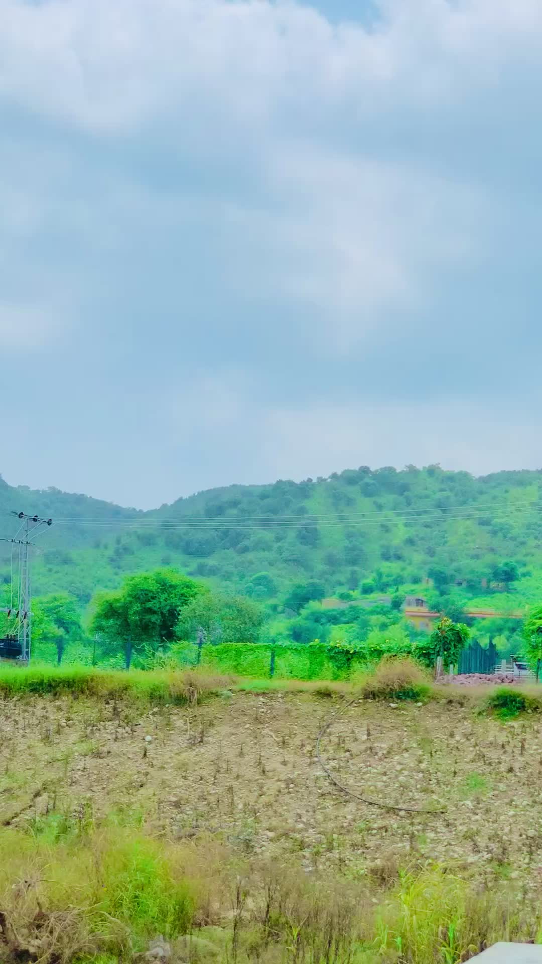 @محترمہ 🍁