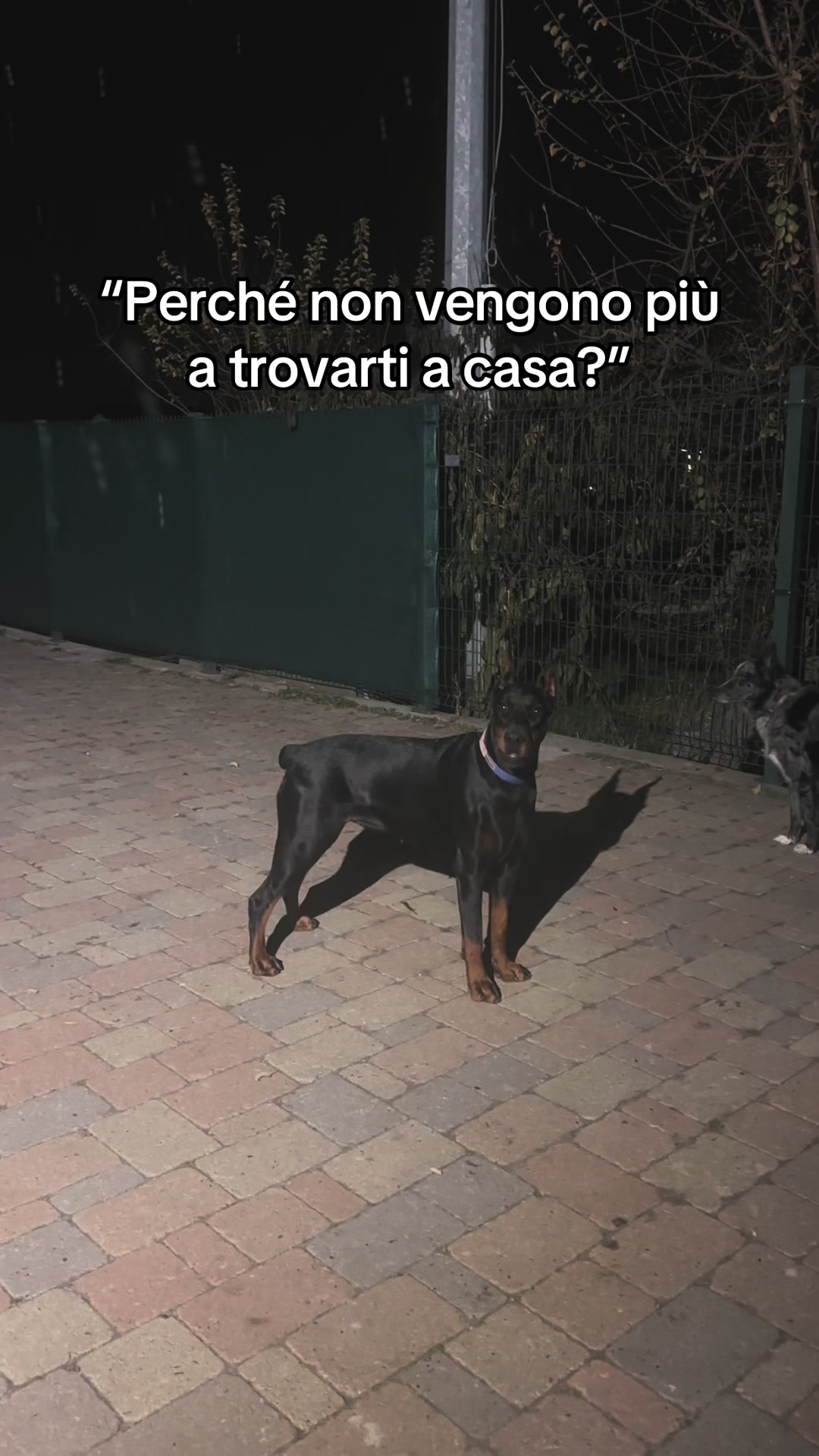 @Alessia Tedesco