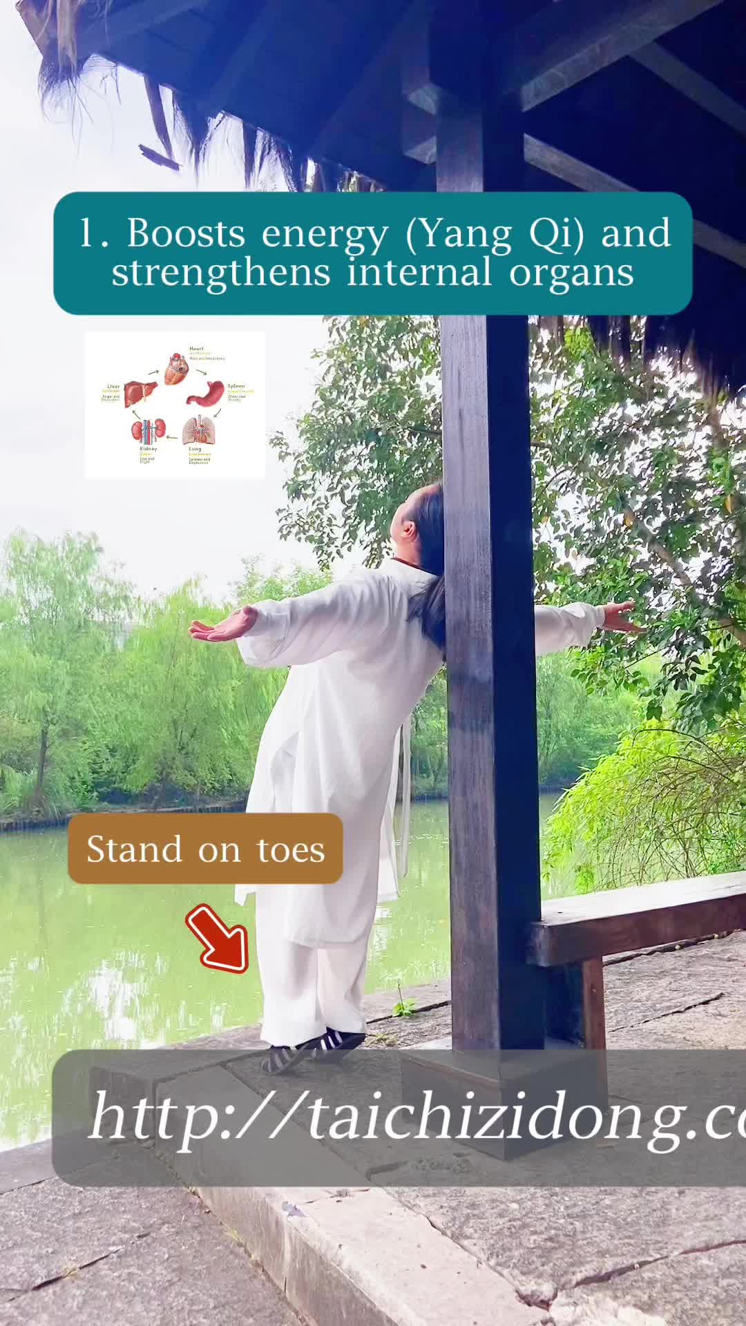 @Wudang.Zidong