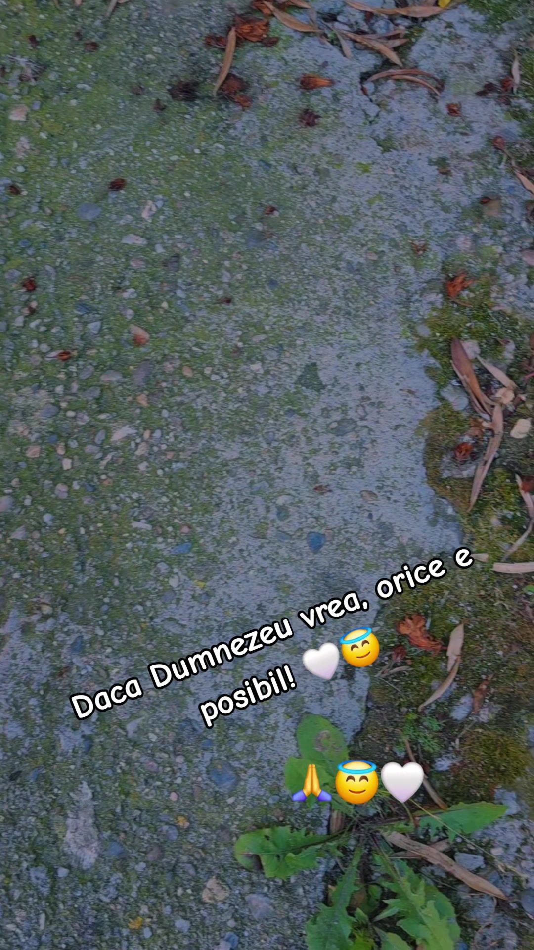 @Cătălina 👑