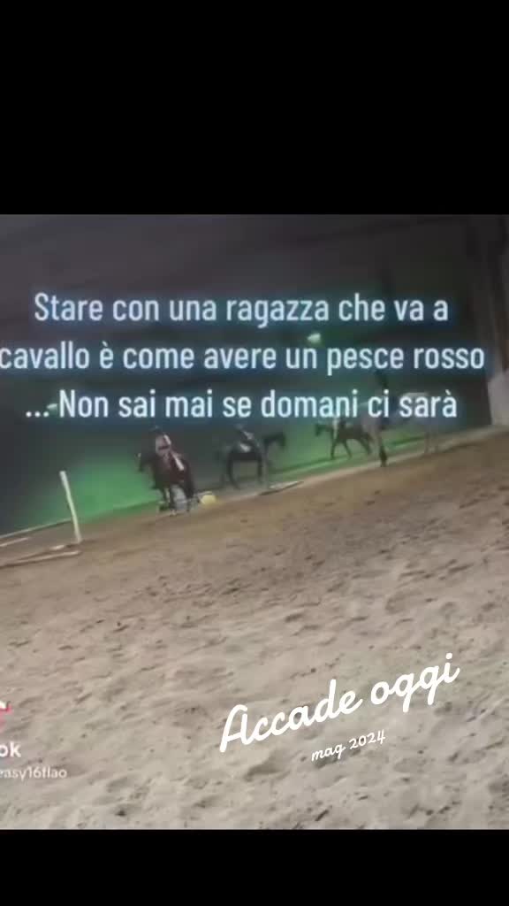 @Desy🐴