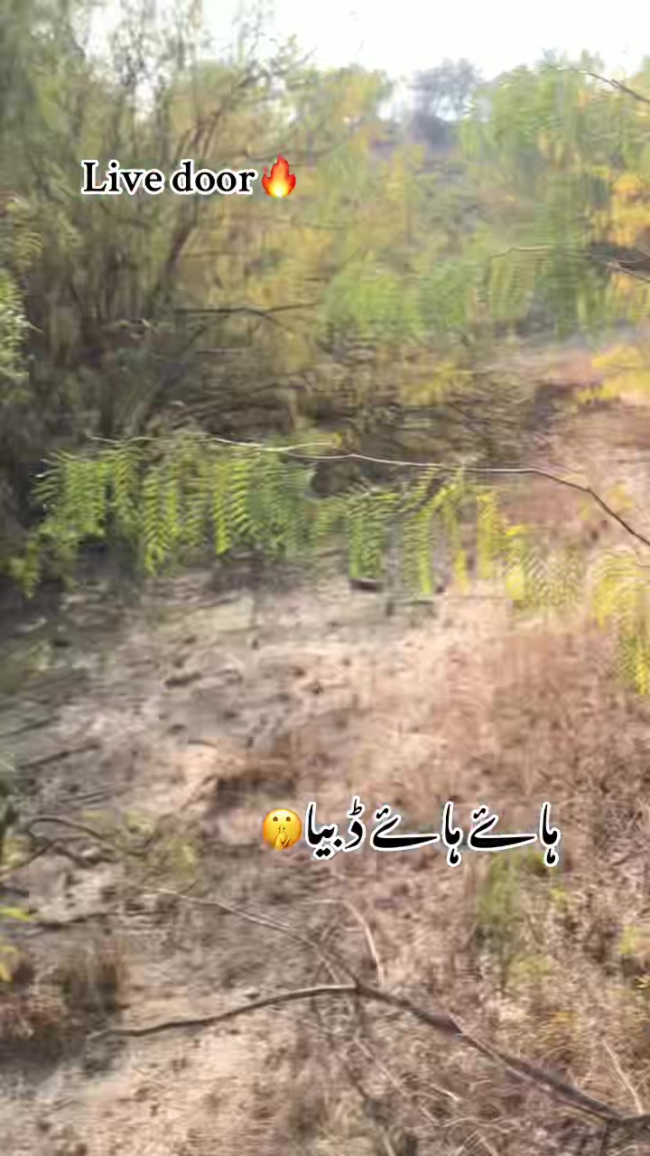 @شاہین گروپ آلہ🤟🔥F-16