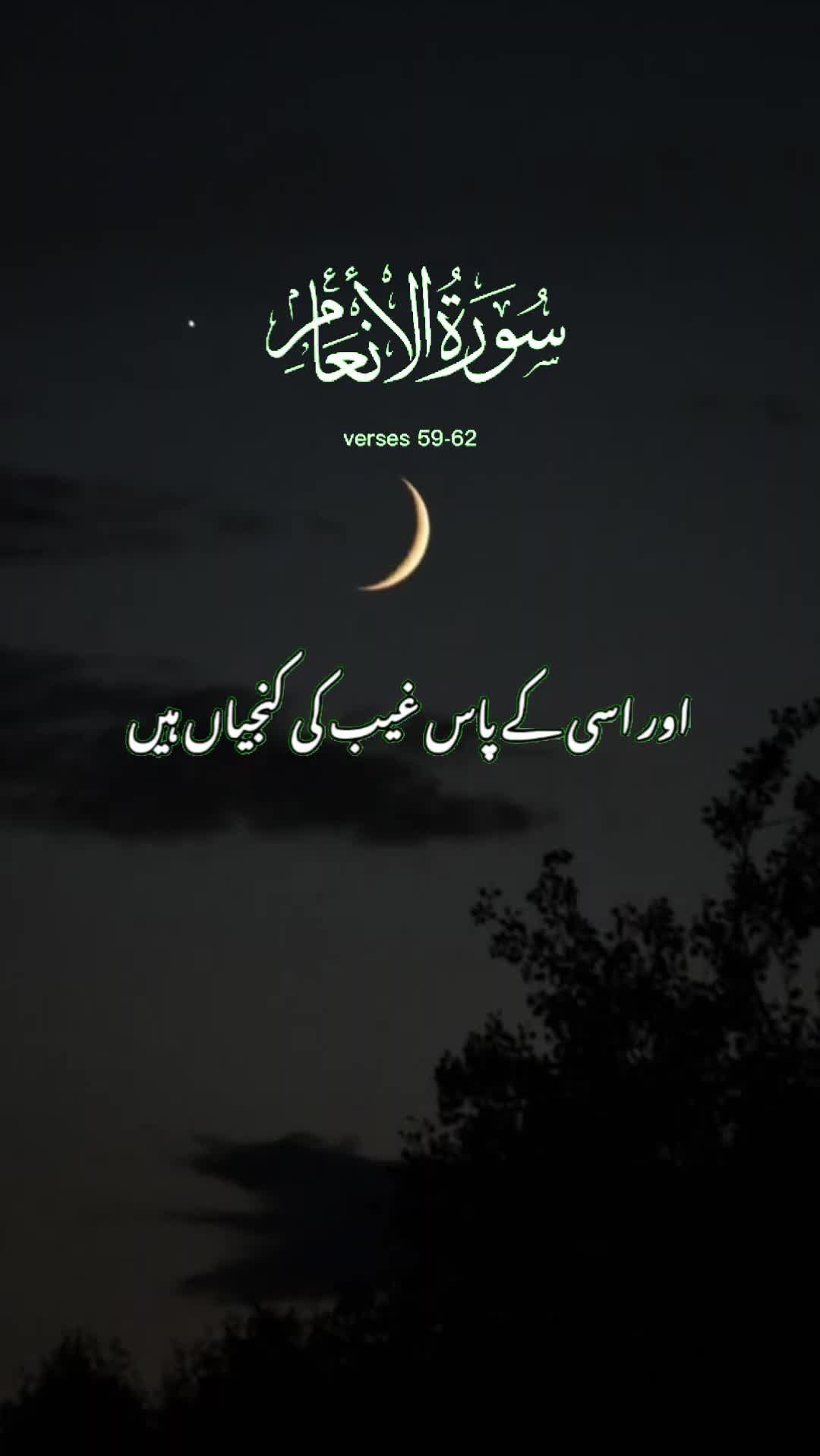 @Arslan Gondal Admana
