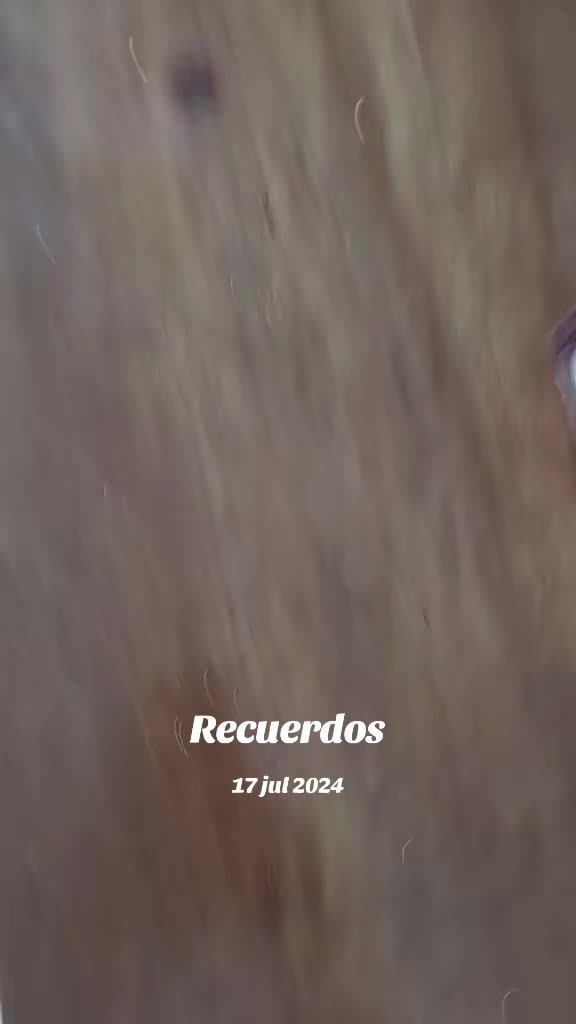 @Sra.Gato