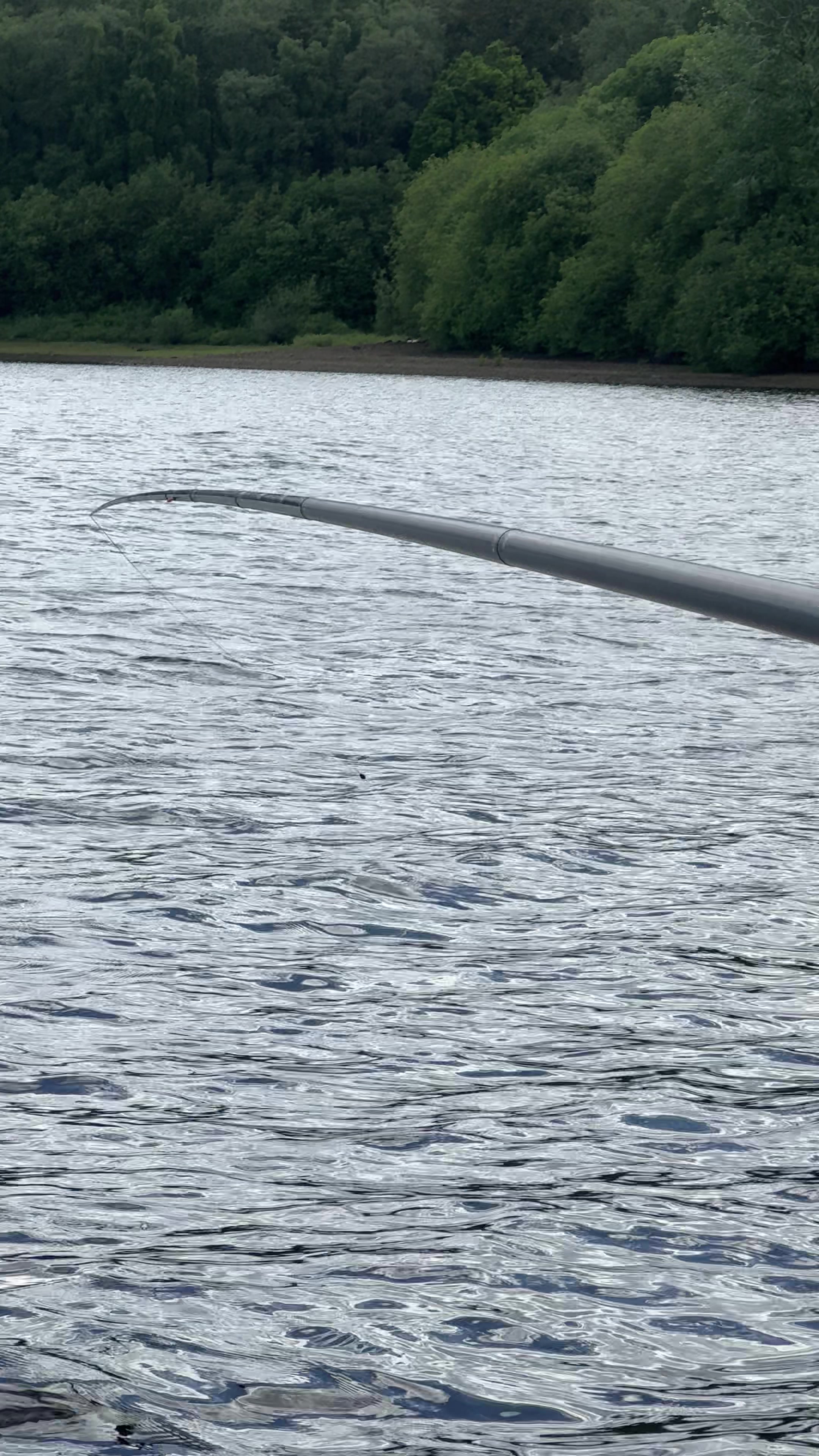 @Tackle Guru