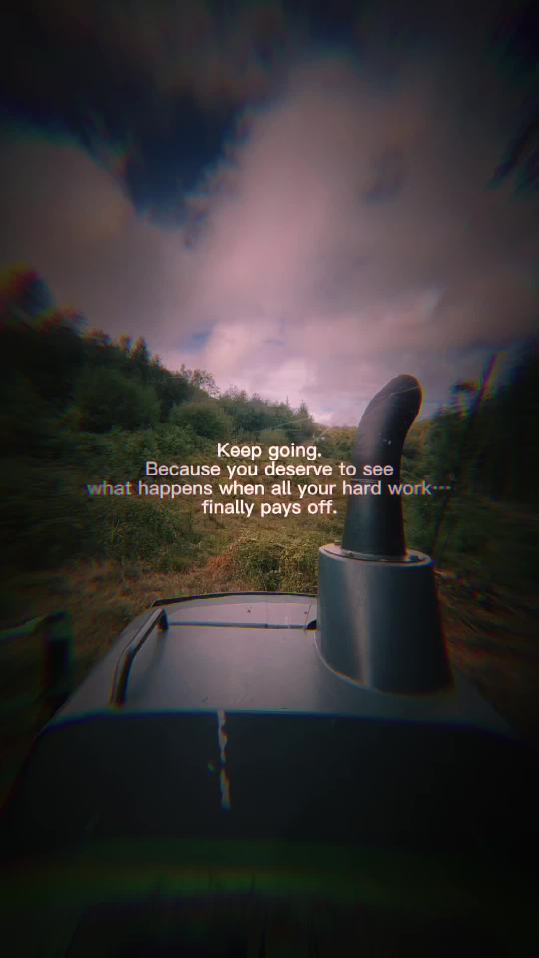 @🌲chase🌲