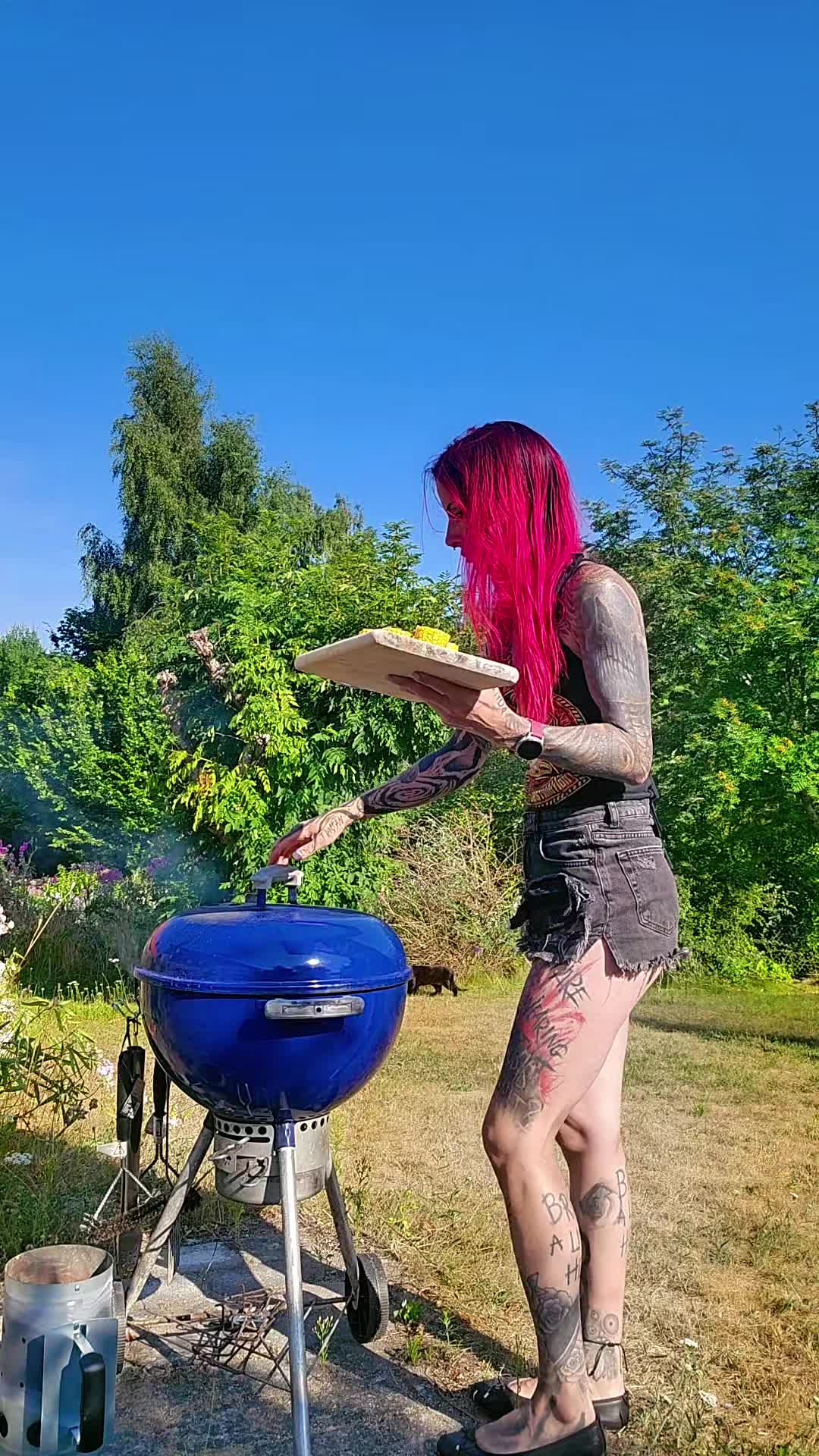 @ViDE0LAND