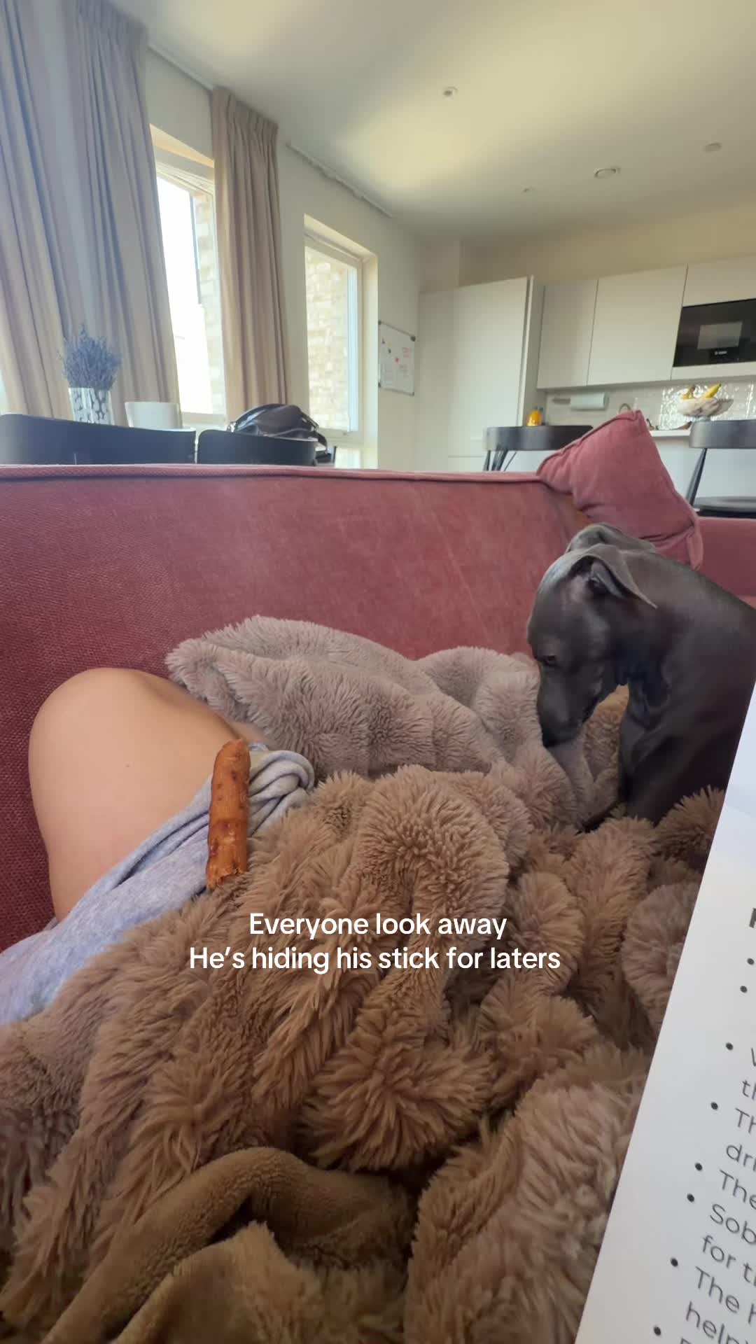 @Lara Sullivan