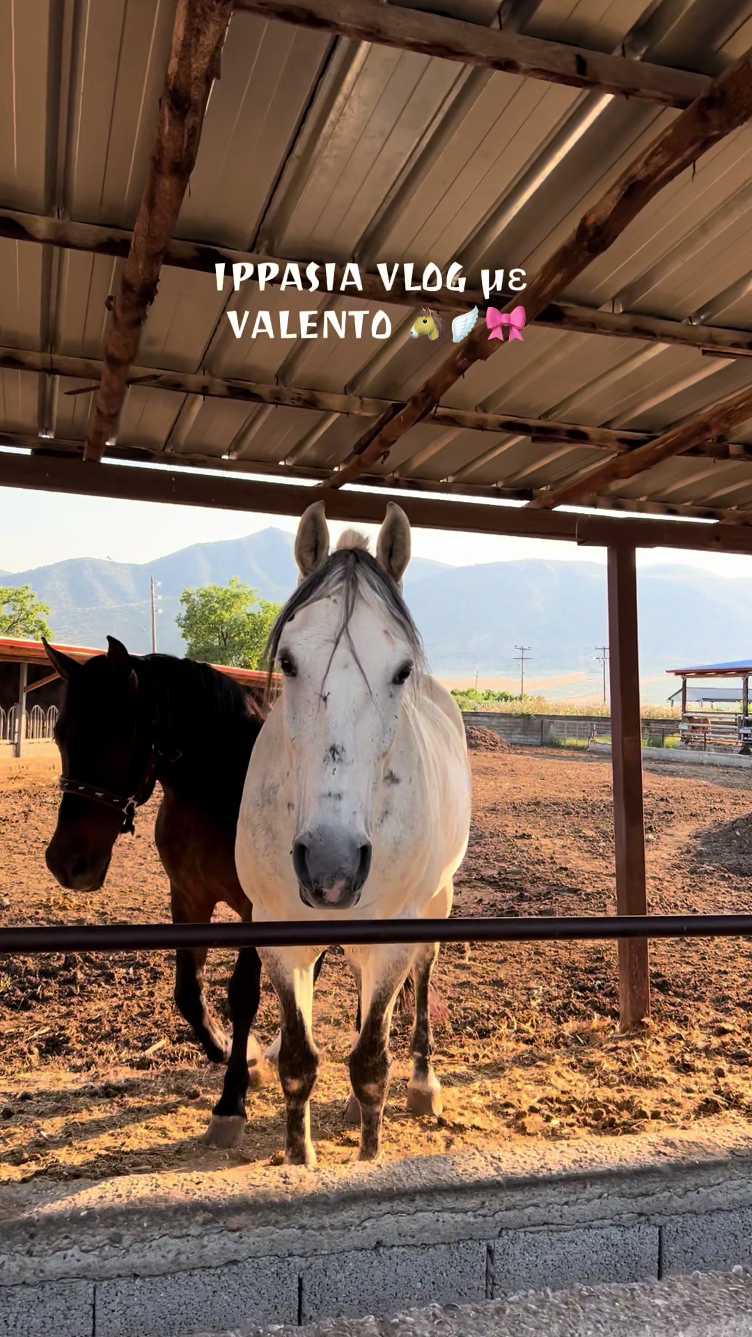 @Tatsiou🐎